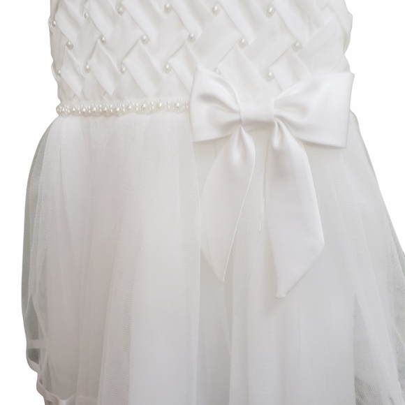 Rare Editions Other - Rare Editions 100% polyester two tier pearl, flower girl  dress